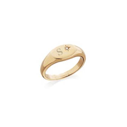 Oval Signet Ring (Gold)