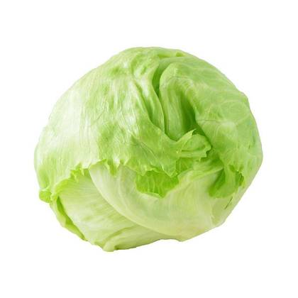 Fresh Iceberg Lettuce Head - each