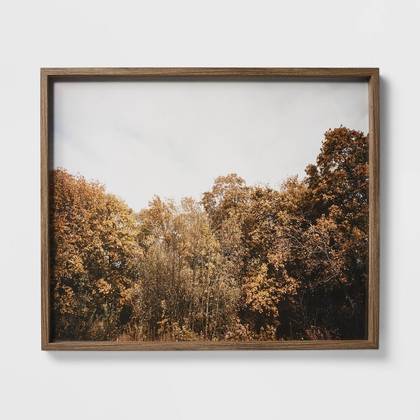36" x 30" Golden Forest Framed Wall Art: Modern Decor, MDF & Glass - Threshold™ designed w/Studio McGee
