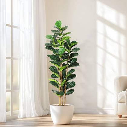 Artificial Fiddle Leaf Fig Tree with White Planter,6ft Tall Fake Tree with Natural Wood Trunk for Home Decor, Faux Ficus Tree Fake Moss