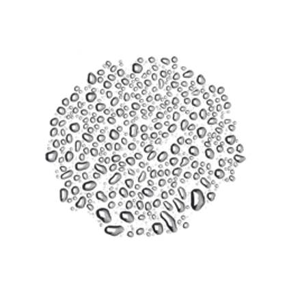 LUSH | Cult Rose | Glycerine Toner