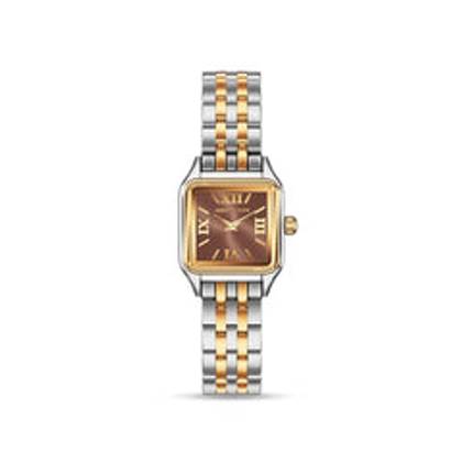 Essence 19mm Mocha Watch (Two Tone)