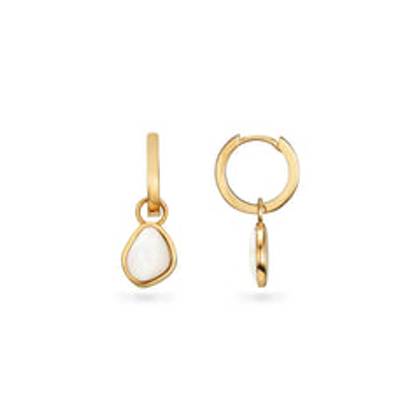 Organic Moonstone Huggie Earrings (Gold)