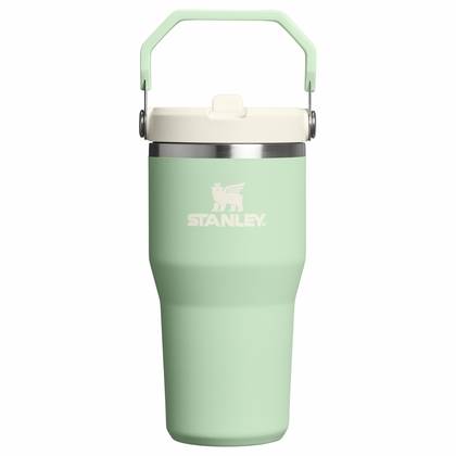 IceFlow™ Flip Straw Tumbler | 0.59L