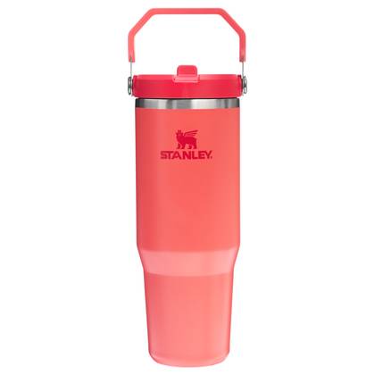 IceFlow™ Flip Straw Tumbler | 0.89L (Pop-Up Store)