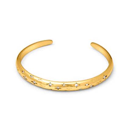 Moon and Back Bangle (Gold)