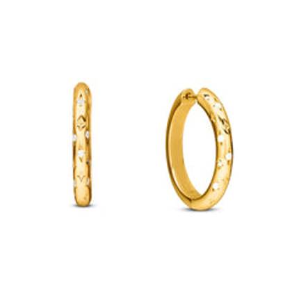 Moon and Back Hoop Earrings (Gold)