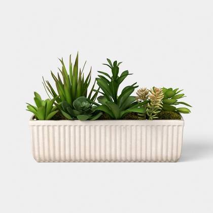 8" Succulent Capsule - Threshold™