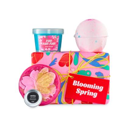 LUSH | Blooming Spring | Gift