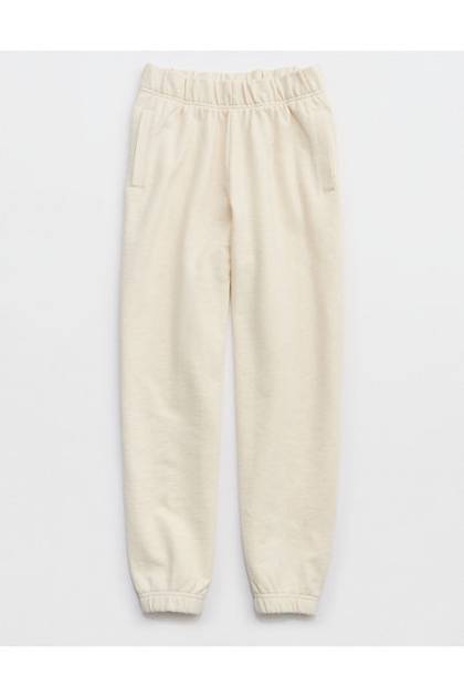 Aerie Jet Setter Jogger Heather Frost