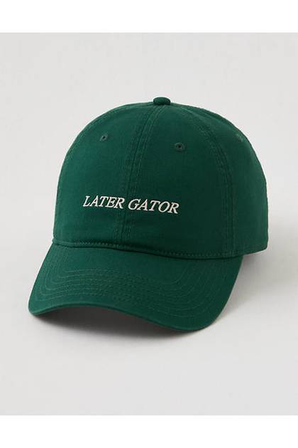 Aerie Graphic Baseball Hat Deep Forest Green