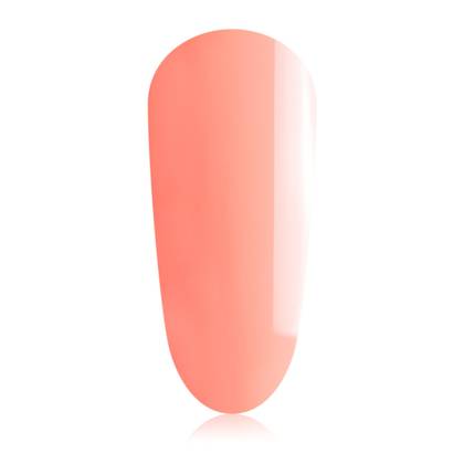 Coral Touch