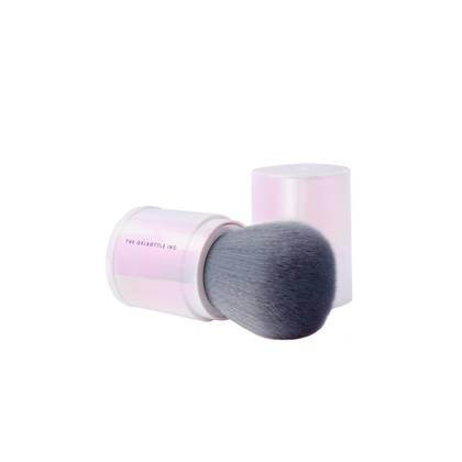 Dusting Brush