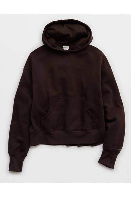 OFFLINE By Aerie Cloud Fleece Classic Length Hoodie Deep Earth