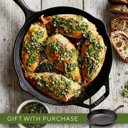 Cast-Iron Cooking + 10" Lodge Cast-Iron Skillet