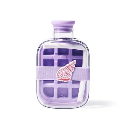 16.9 fl oz Ice Mold Bottle - Bullseye's Playground™