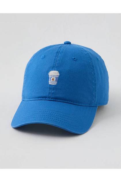 Aerie Graphic Baseball Hat Rome Blue
