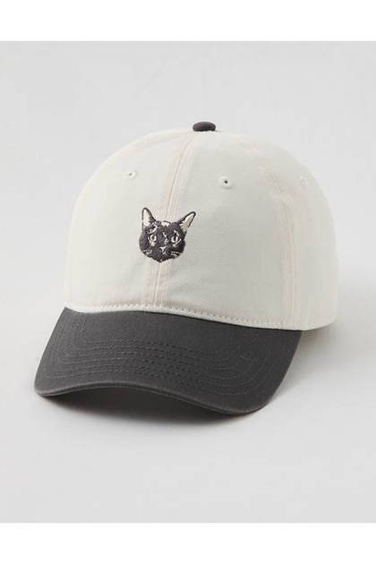 Aerie Colorblock Baseball Hat Soft Muslin
