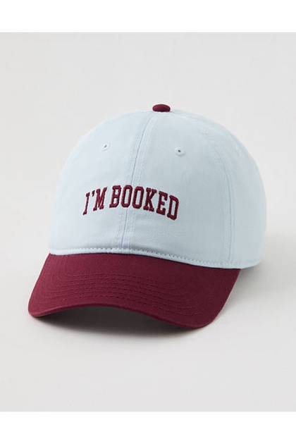 Aerie Colorblock Baseball Hat Misty Sky